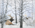 Red Elk Lodge - SOLD